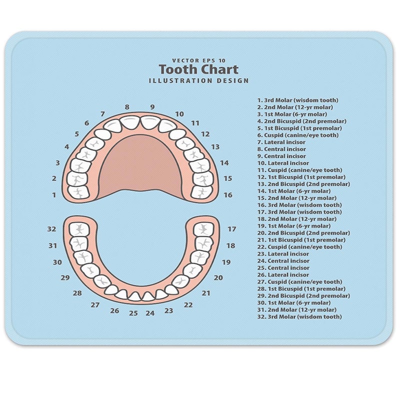 Emvency Mouse Pads Pink Education Tooth Chart Number Infographic Blue Dental Human Anatomy Mousepad 9.5" x 7.9" for Laptop, Desktop Computers Accessories Mini Office Supplies Mouse Mats - Image 1